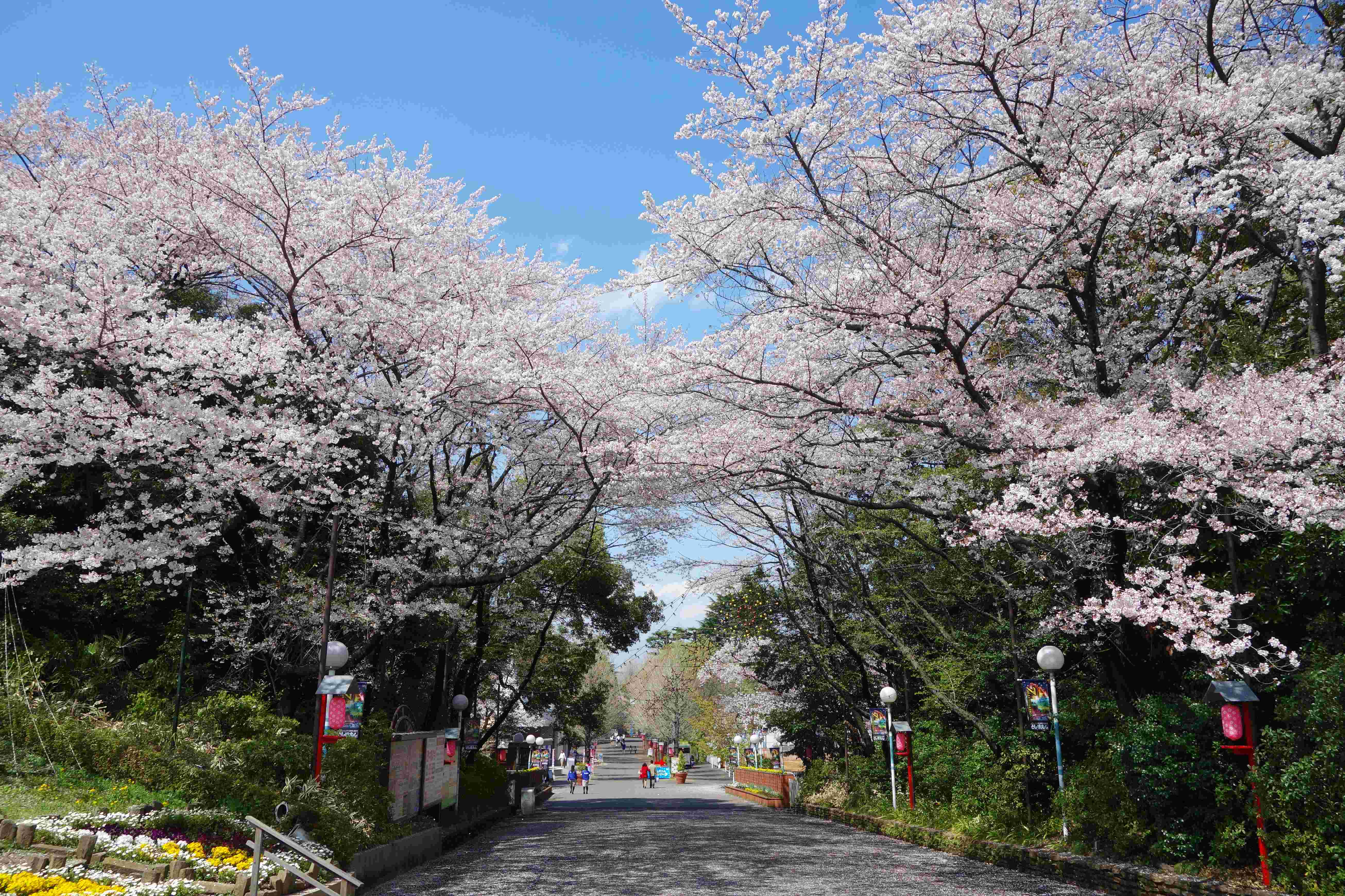 🌳 문고의 숲(분코노모리) 이미지 9